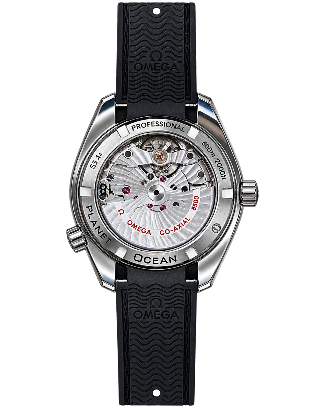 Reloj Diver Negro Total — Edición Profesional